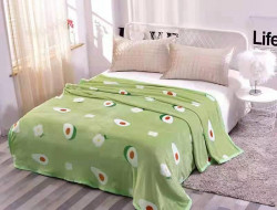 Плед из микрофибры TANGO ФЛАНЕЛЬ VAR-539 200х220