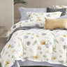 Постельное белье из тенсела ASABELLA 2085-6 50х70 (2шт) и 70х70 (2шт) евро