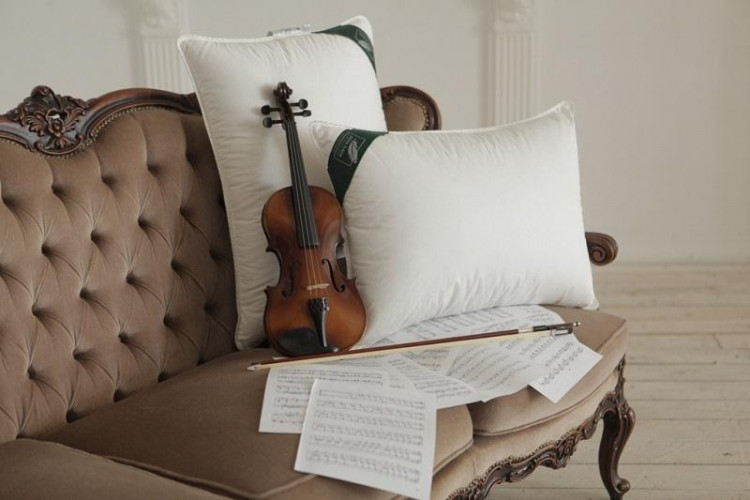 Подушка из элитного белого гусиного пуха ANNA FLAUM HERBST KOLLEKTION 50х90 средняя