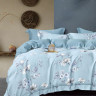 Постельное белье из тенсела ASABELLA 2086-6 50х70 (2шт) и 70х70 (2шт) евро