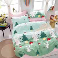 Постельное белье двухстороннее из твила в ПВХ TANGO TPIG-1400 50х70 (2шт) евро