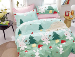 Постельное белье двухстороннее из твила в ПВХ TANGO TPIG-1400 50х70 (2шт) евро