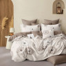 Постельное белье из микросатина TANGO DREAM FLY DF03-546 50х70 (2шт) евро