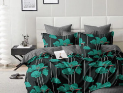Постельное белье из микросатина TANGO шималле 50х70 (2шт) 2-спальное