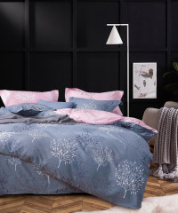 Постельное белье из твил-сатина в ПВХ TANGO броуси 50х70 (2шт) евро