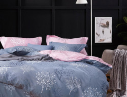 Постельное белье из твил-сатина в ПВХ TANGO броуси 50х70 (2шт) евро