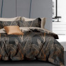 Постельное белье из микросатина TANGO DREAM FLY DF-464-70 70х70 (2шт) семейное