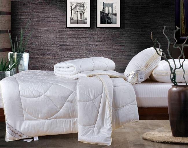 Одеяло из тенсела ASABELLA T-7 160х220 легкое