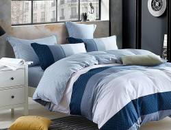 Постельное белье из сатина TANGO TS02-X195-70 70х70 (2шт) 2-спальное