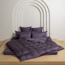 Постельное белье GERMAN GRASS VIOLET BRILLIANT GRASS 50х70 (2шт) евро