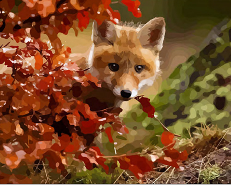 Набор для раскрашивания по номерам на холсте ФРЕЯ PNB-1 №50 Хитрый лисенок40х50 см