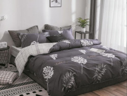 Постельное белье из микросатина TANGO DREAM FLY DF-310-70 70х70 (2шт) семейное