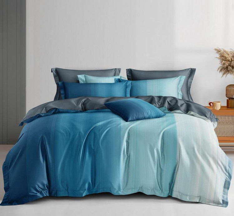 Постельное белье из сатина АЛЬВИТЕК CA-6-703 50х70 (2шт), 70х70 (2шт) евро