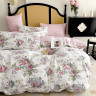 Постельное белье из сатина TANGO розарий 50х70 (2шт) 2-спальное