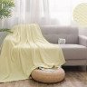 Плед из велсофта АЛЬВИТЕК SOFT PLUSH 017-SP 180х200