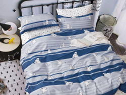 Постельное белье из сатина TANGO NOVELLA TS04-X221 50х70 (2шт), 70х70 (2шт) евро