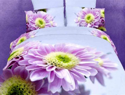 Постельное белье из сатина TANGO TS-FS619 50х70 (2шт) семейное