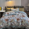 Постельное белье из египетского хлопка ASABELLA 1950-6 50х70 (2шт) и 70х70 (2шт) евро