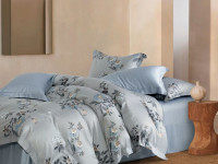 Постельное белье из тенсела люкс ASABELLA 2092-6 50х70 (2шт) и 70х70 (2шт) евро