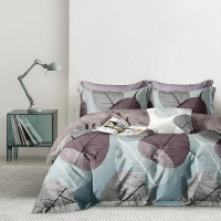 Постельное белье из сатина АЛЬВИТЕК CA-1-722 70х70 (2шт) 1,5-спальное