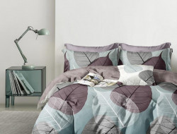 Постельное белье из сатина АЛЬВИТЕК CA-1-722 70х70 (2шт) 1,5-спальное