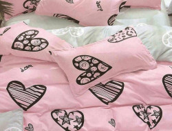 Постельное белье из микросатина TANGO DREAM FLY DF-177 50х70 (2шт) евро