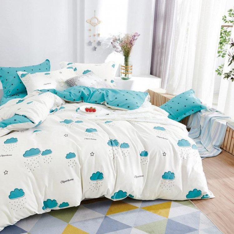 Постельное белье из микросатина TANGO DREAM FLY DF-239 50х70 (2шт) евро