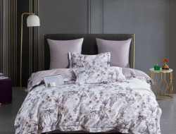 Постельное белье из египетского хлопка ASABELLA 2144-6 50х70 (2шт) и 70х70 (2шт) евро