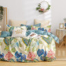 Постельное белье двухстороннее из твила TANGO TPIG-1426-50 50х70 (2шт) 2-спальное