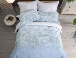 Постельное белье из сатина печатного САЙЛИД B-195 2-спальное