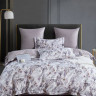 Постельное белье из египетского хлопка ASABELLA 2144-7 50х70 (2шт) и 70х70 (2шт) семейное
