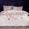 Постельное белье из ранфорса TAC HAPPY DAY EZRA пудра евро