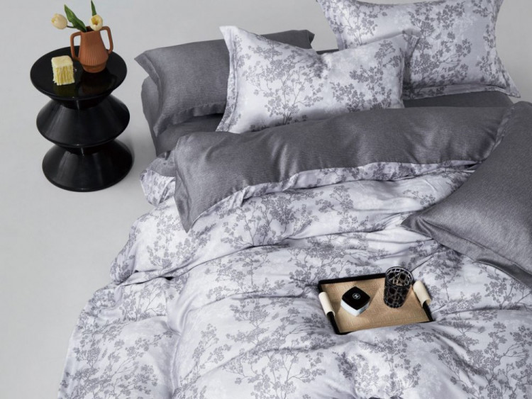 Постельное белье из тенсела ASABELLA 2158-6 50х70 (2шт) и 70х70 (2шт) евро