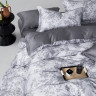 Постельное белье из тенсела ASABELLA 2158-6 50х70 (2шт) и 70х70 (2шт) евро