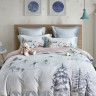 Постельное белье фланелевое из тенсела ASABELLA Серебряные коньки 145х205, 50х70 (1шт), 70х70 (1шт) 1,5-спальное