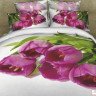 Постельное белье KINGSILK SEDA БУКЕТ ТЮЛЬПАНОВ 2-спальное