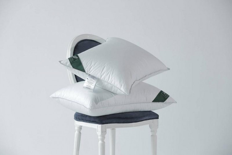 Подушка из белого гусиного пуха ANNA FLAUM EIS KOLLEKTION 70х70 упругая