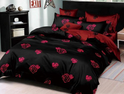 Постельное белье из микросатина TANGO DREAM FLY DF-426 50х70 (2шт) евро