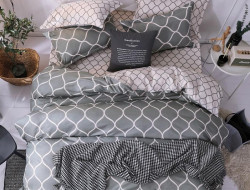 Постельное белье из микросатина TANGO DREAM FLY DF-498 50х70 (1шт), 70х70 (1шт) 1,5-спальное