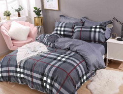 Постельное белье из микросатина TANGO DREAM FLY DF-433-70 70х70 (2шт) 2-спальное