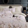 Постельное белье из египетского хлопка Premium ASABELLA 2184-6 50х70 (2шт) и 70х70 (2шт) евро