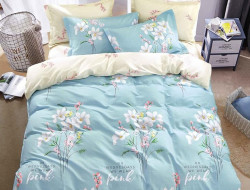 Постельное белье двухстороннее из твила TANGO TPIG2-1296-50 50х70 (2шт) 2-спальное