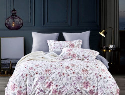 Постельное белье из египетского хлопка Premium ASABELLA Грация 50х70 (2шт) и 70х70 (2шт) евро