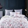 Постельное белье из египетского хлопка Premium ASABELLA Грация 50х70 (2шт) и 70х70 (2шт) евро