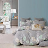 Постельное белье фланелевое TANGO MOMAE205 50х70 (2шт) евро