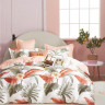 Постельное белье двухстороннее из твила TANGO парадис 50х70 (2шт) семейное