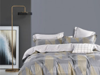 Постельное белье из сатина ASABELLA 2167-6 50х70 (2шт) и 70х70 (2шт) евро