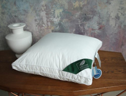 Подушка с бортиком из силиконизированного волокна ANNA FLAUM FITNESS KOLLEKTION 70х70 средняя