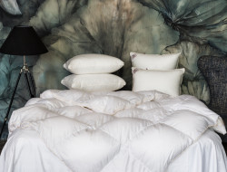 Одеяло кассетное GERMAN GRASS QUEEN DOWN GRASS 240х260 теплое