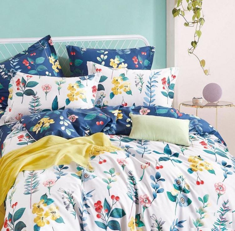 Постельное белье из сатина АЛЬВИТЕК CA-232 50х70 (2шт), 70х70 (2шт) евро